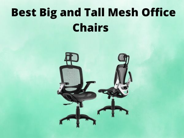 5 Best Big and Tall Mesh Office Chairs [In 2025]