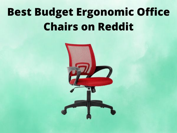 Best Budget Ergonomic Office Chairs on Reddit