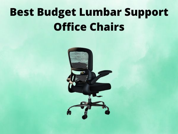 Best Budget Lumbar Support Office Chairs [In 2025]