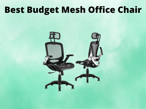 What Is The Best Budget Mesh Office Chair [In 2025]