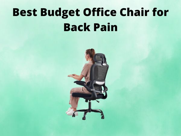 5 Best Budget Office Chair for Back Pain [In 2025]