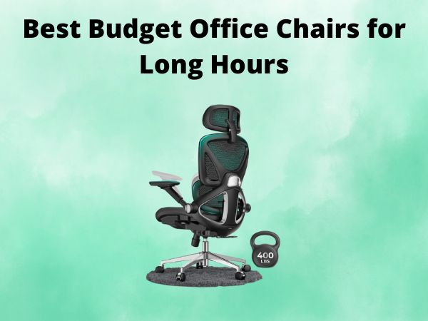5 Best Budget Office Chairs for Long Hours [In 2025]