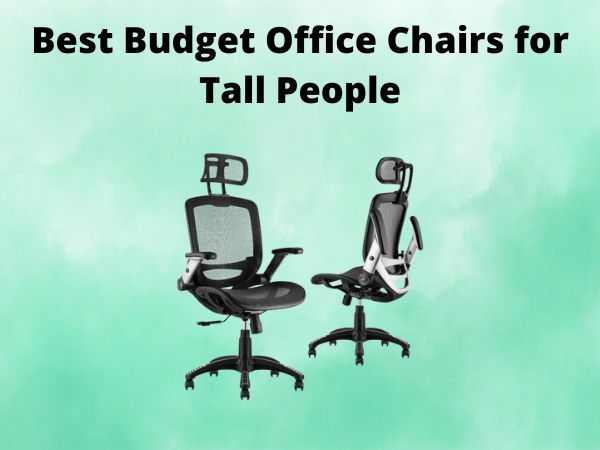 Best Budget Office Chairs for Tall People [In 2025]