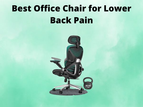 What Is The Best Office Chair for Lower Back Pain [In 2025]
