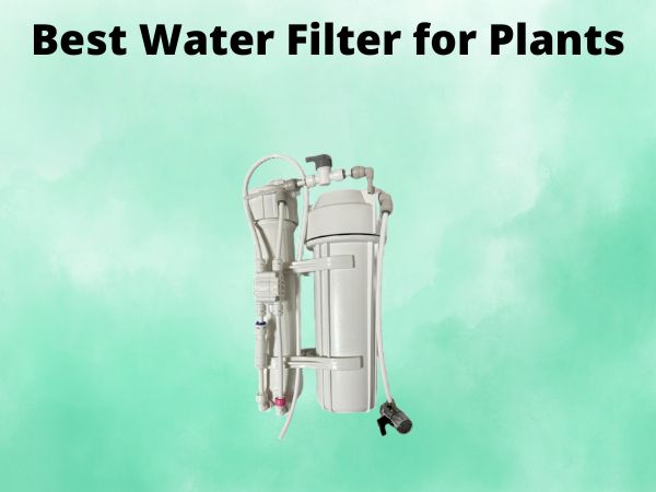 Best Water Filter for Plants