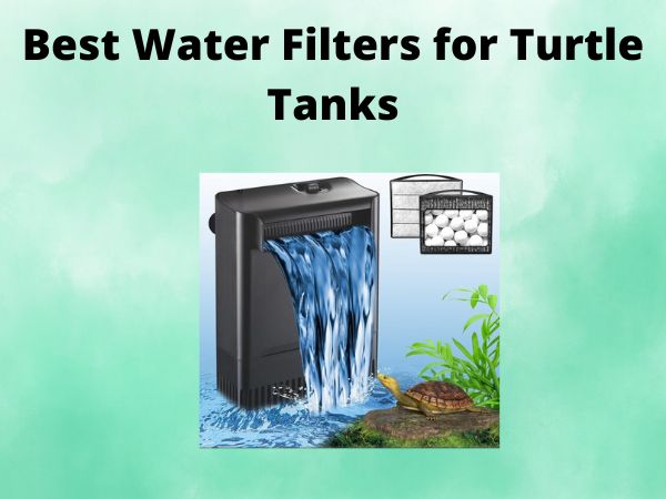 5 Best Water Filters for Turtle Tanks [In 2025]
