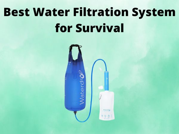 5 Best Water Filtration System for Survival [In 2025]