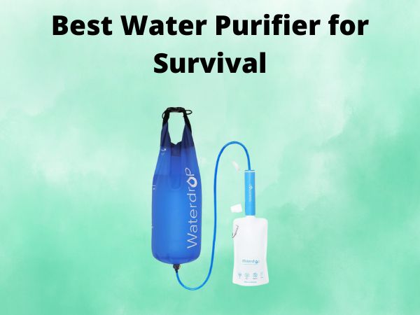 5 Best Water Purifier for Survival [In 2025]