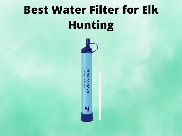 What Is The Best Water Filter for Elk Hunting [In 2025]