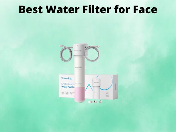 What Is The Best Water Filter for Face [In 2025]