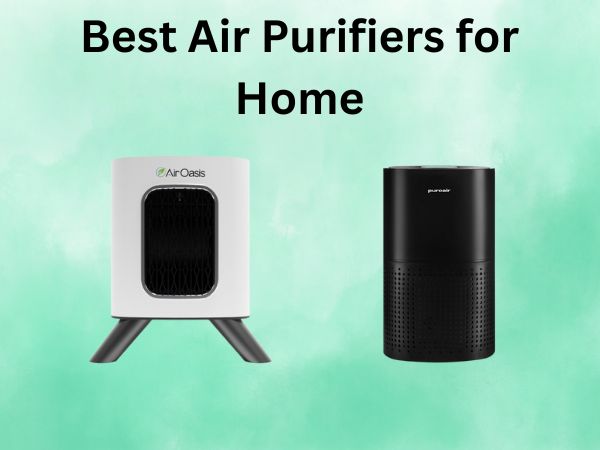 Best Air Purifiers for Home
