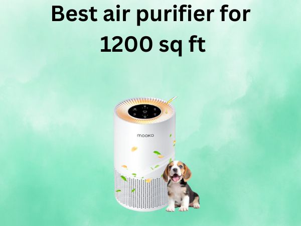 Best air purifier for 1200 sq ft