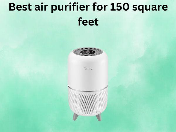 Best air purifier for 150 square feet