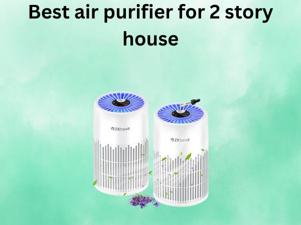 Best air purifier for 2 story house