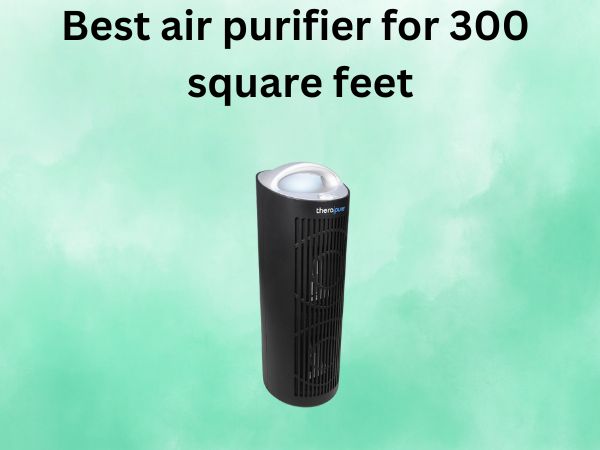 Best air purifier for 300 square feet