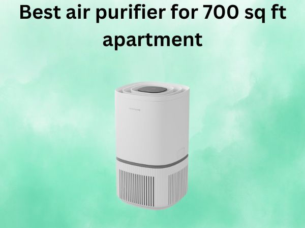 Best air purifier for 700 sq ft apartment