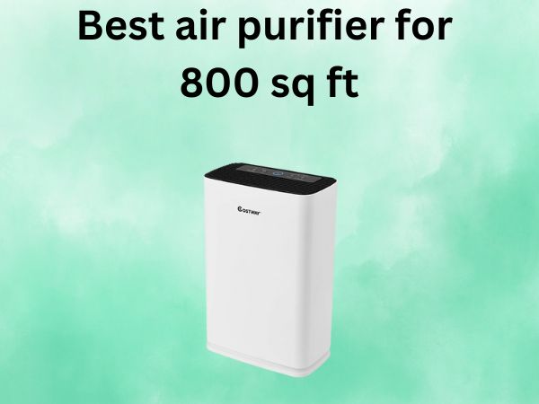 Best air purifier for 800 sq ft