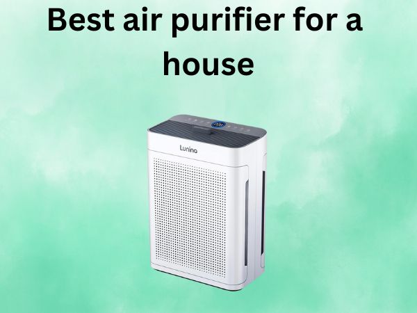 Best air purifier for a house