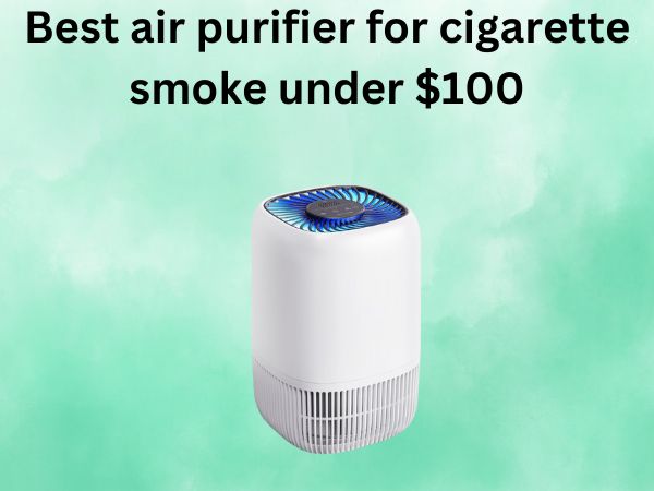 Best air purifier for cigarette smoke under $100