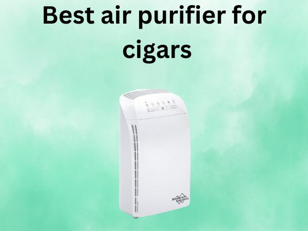 Best air purifier for cigars