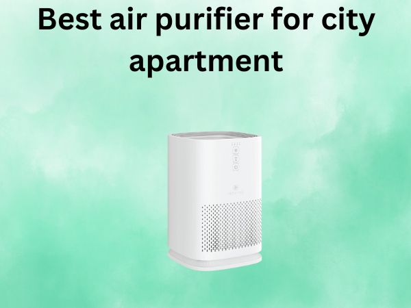 Best air purifier for city apartment