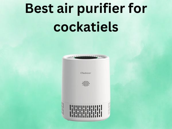 Best air purifier for cockatiels