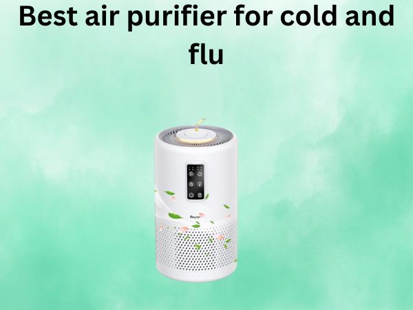 Best air purifier for cold and flu