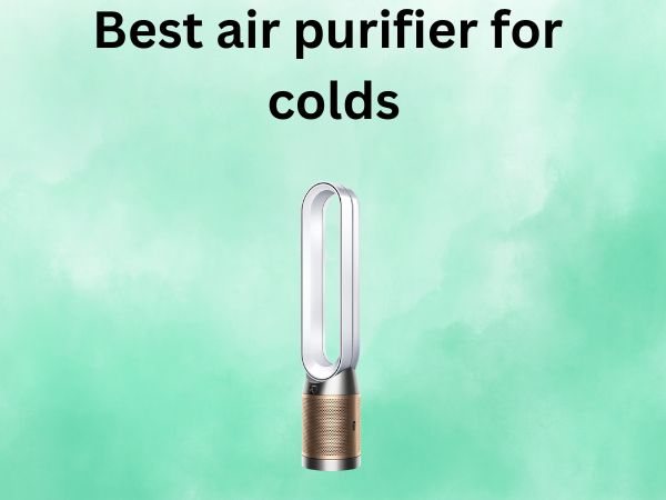 Best air purifier for colds