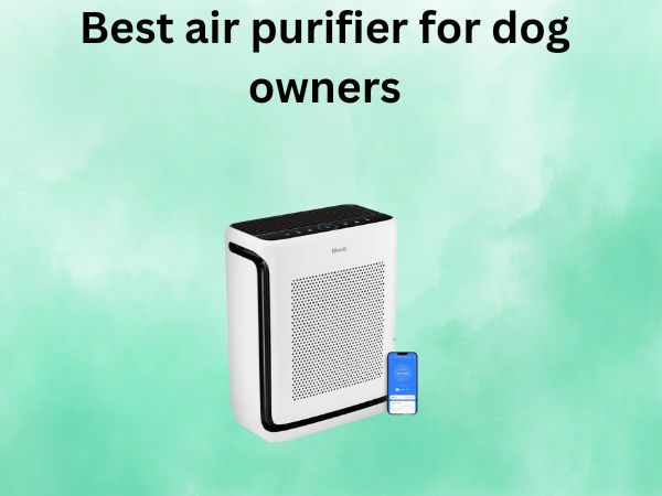 Best air purifier for dog owners