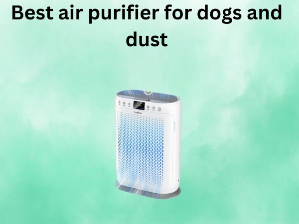 Best air purifier for dogs and dust