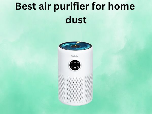 Best air purifier for home dust
