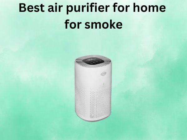 Vest air purifier for home for smoke