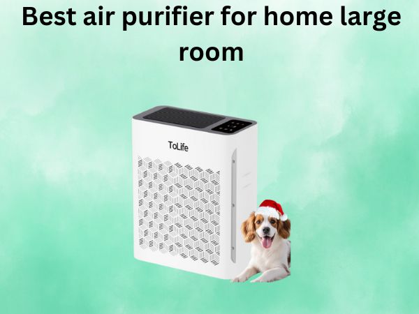 Best air purifier for home large room