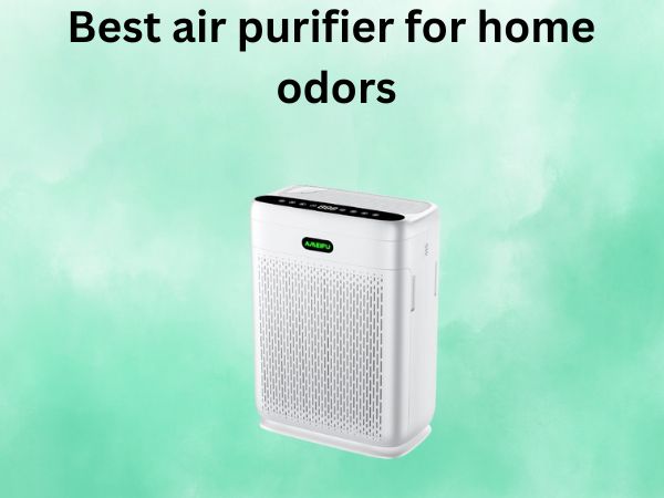 Best air purifier for home odors