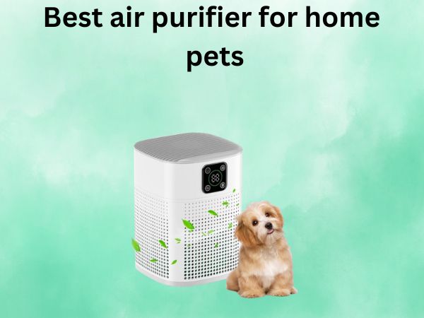 Best air purifier for home pets