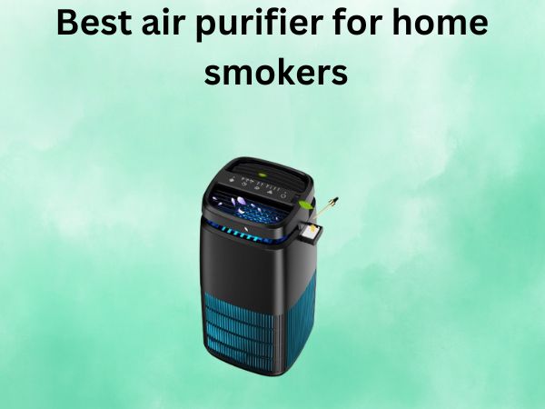 Best air purifier for home smokers