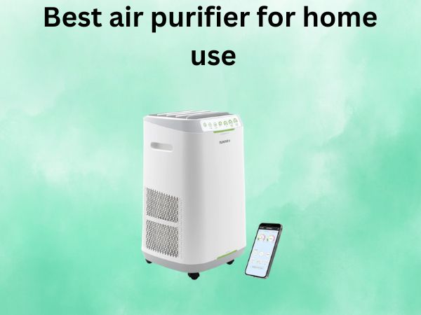 Best air purifier for home use