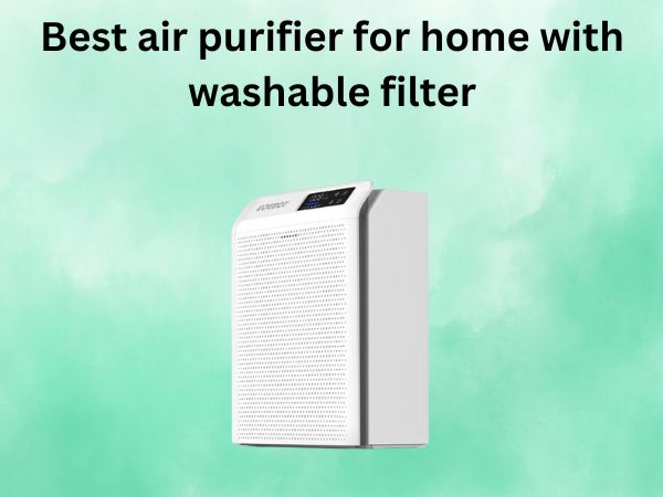 Best air purifier for home with washable filter