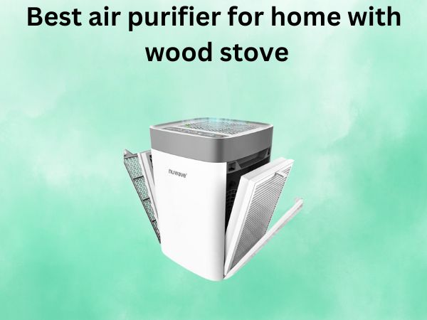 Best air purifier for home with wood stove