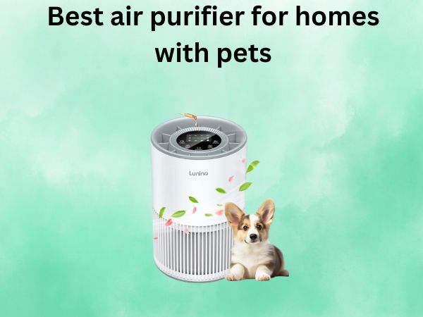 Best air purifier for homes with pets