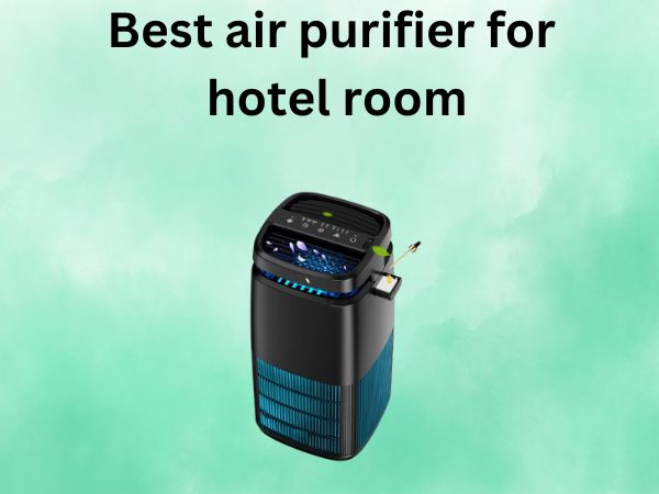Best air purifier for hotel room