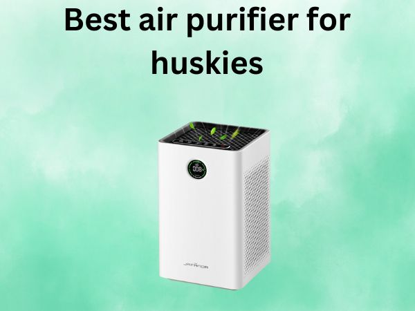Best air purifier for huskies