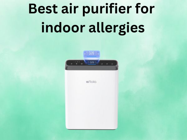Best air purifier for indoor allergies