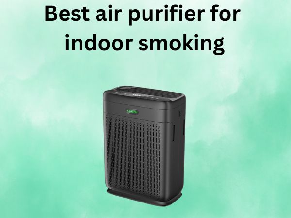 Best air purifier for kitchen smoke