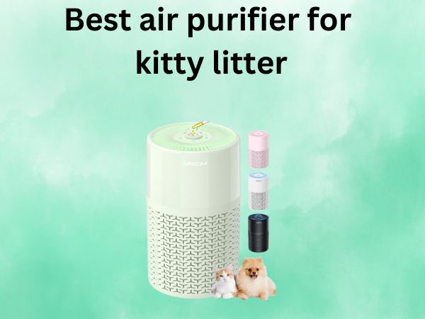 Best air purifier for kitty litter