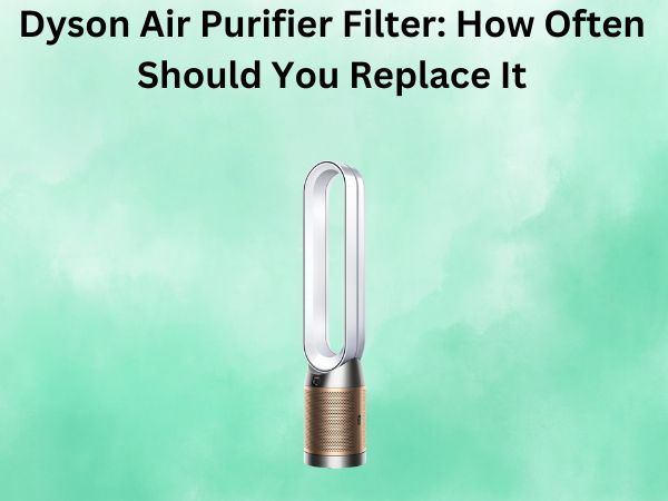 Dyson Air Purifier Filter: How Often Should You Replace It