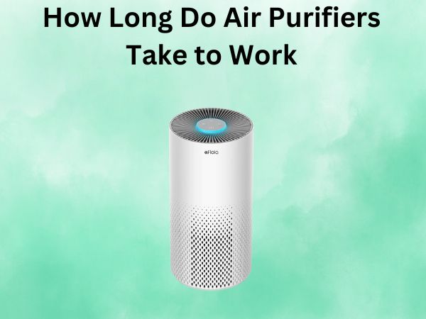 How Long Do Air Purifiers Take to Work