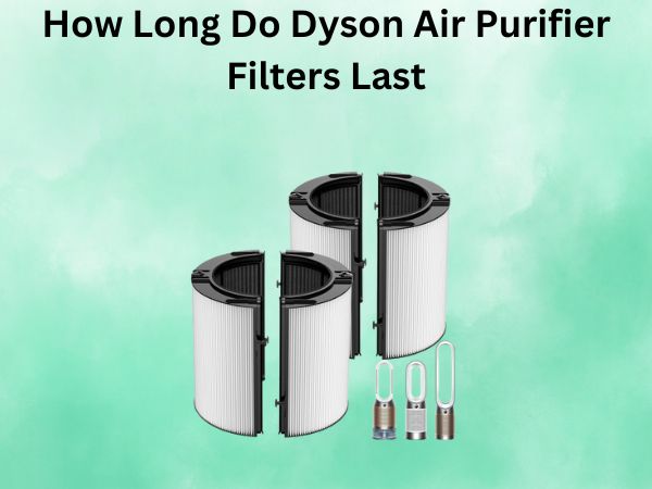 How Long Do Dyson Air Purifier Filters Last