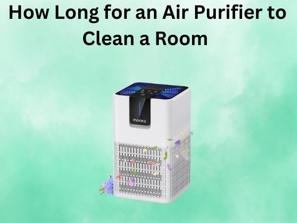 How Long for an Air Purifier to Clean a Room