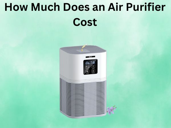 How Much Does an Air Purifier Cost